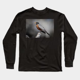 American Robin Long Sleeve T-Shirt